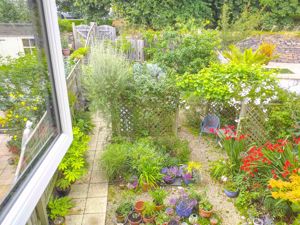 Photo 39- click for photo gallery